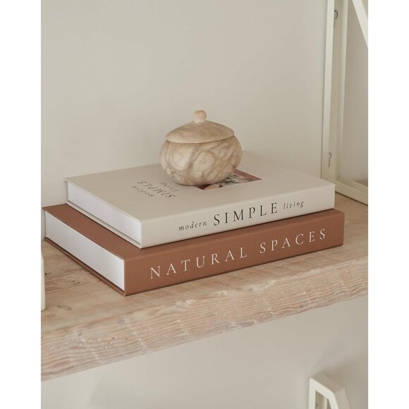 Beautiful Decorative Books Set of 2 Boxes Enhance Your Coffee Table Shelf Decor
